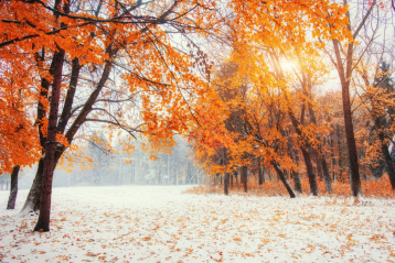 Vom goldenen Herbst in den Winterzauber